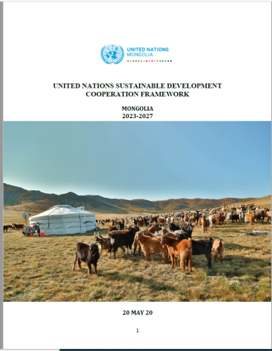 This is a white document with blue and black text.  The UNCT logo appears to the middle of the page.