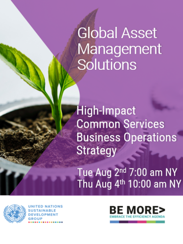 Page de couverture où sont affichés, dans la partie supérieure, un titre de document et le logo du Bureau des Nations Unies pour la coordination des activités de développement et, dans la partie inférieure, des cercles de couleur plus ou moins claire, dont l'un porte le logo du HCR.