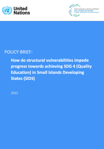 A publication cover in UN blue color with the title written in white and the UN logo in the top left corner.