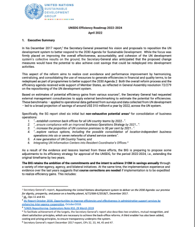 A cover page for a UNSDG document on efficiency roadmaps for the duration 2022-2024