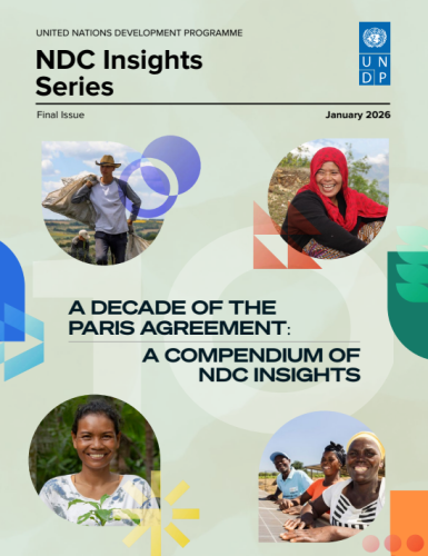 A cover photo of the final issue of the NDC Insights Series.