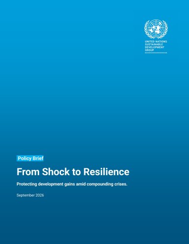 Cover image of the policy brief on spillover effects from the conflict in the Middle East.