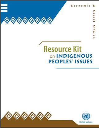 Portada del documento con fondo blanco y cintillos decorativos en azul y marrón, más el logo de la ONU.