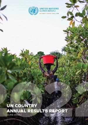 Rapports annuels sur les résultats des équipes de pays de l'ONU