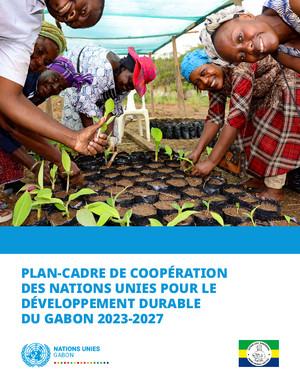 Plan-cadre de coopération (ou équivalent)