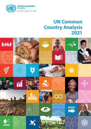 Общий страновой анализ