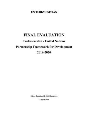 联发援框架/合作框架评估报告