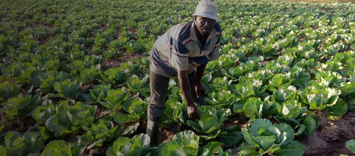 A beneficiary farmer of a UNDP irrigation project in the Northern region of Ghana attends to his farm.