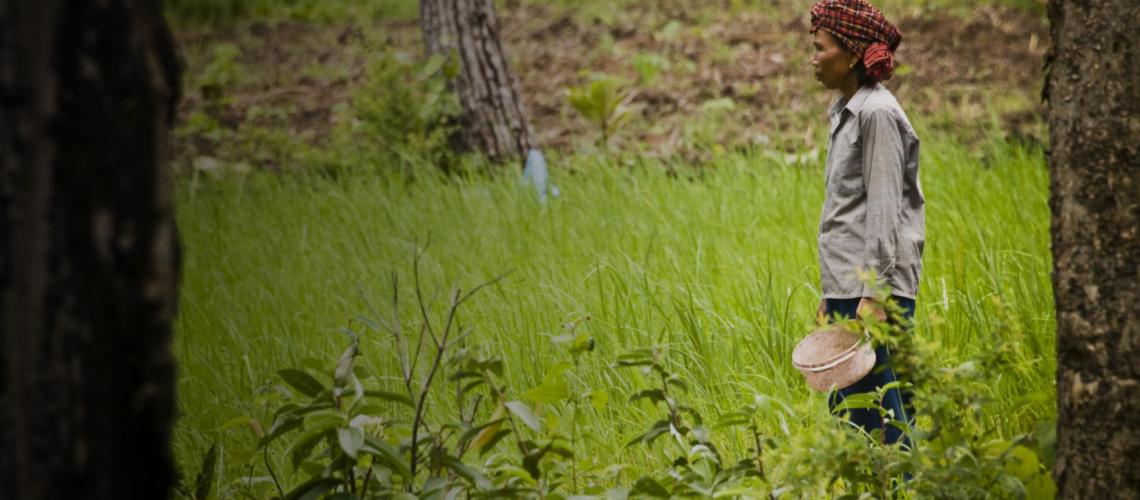 Shows a farmer standing in a field, which was formerly an active mine field. 