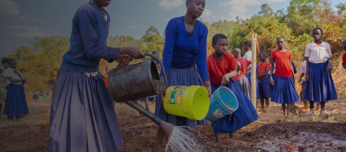 Young school girls water growing seedlings planted in soil.