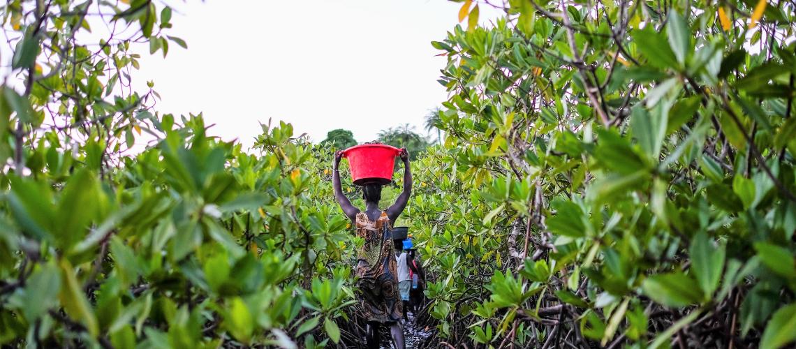 Woman walking through a farm in Guinea Bissau